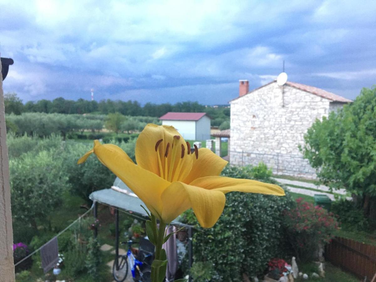 Appartment Hacienda Monica Умаг Экстерьер фото